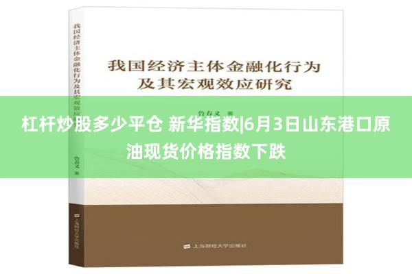 杠杆炒股多少平仓 新华指数|6月3日山东港口原油现货价格指数下跌