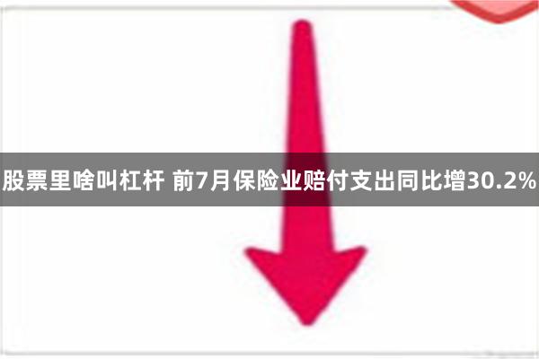 股票里啥叫杠杆 前7月保险业赔付支出同比增30.2%