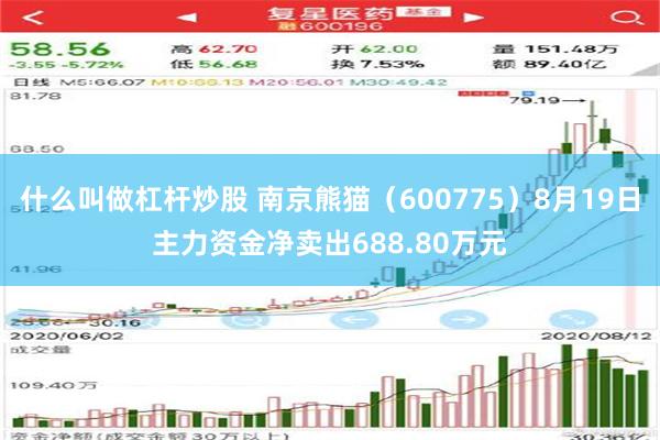 什么叫做杠杆炒股 南京熊猫（600775）8月19日主力资金净卖出688.80万元