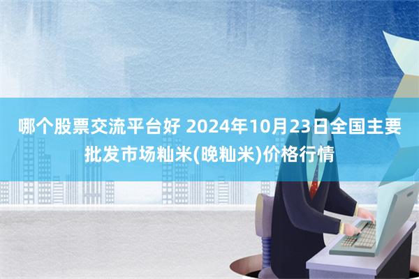 哪个股票交流平台好 2024年10月23日全国主要批发市场籼米(晚籼米)价格行情