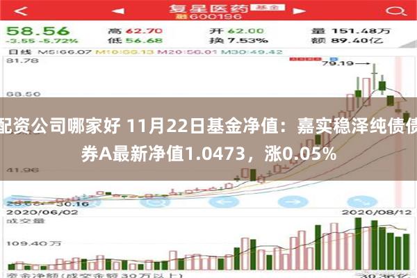 配资公司哪家好 11月22日基金净值：嘉实稳泽纯债债券A最新净值1.0473，涨0.05%