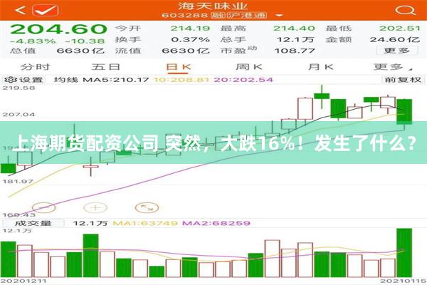 上海期货配资公司 突然，大跌16%！发生了什么？