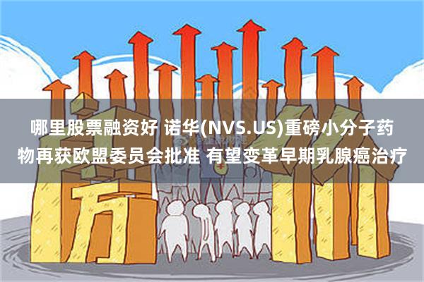 哪里股票融资好 诺华(NVS.US)重磅小分子药物再获欧盟委员会批准 有望变革早期乳腺癌治疗